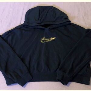 Nike Cropped Hoodie Womens 3XL Stardust Pullover Center Swoosh Long